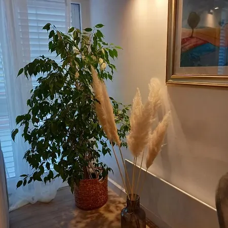 Apartment Luxe Leo